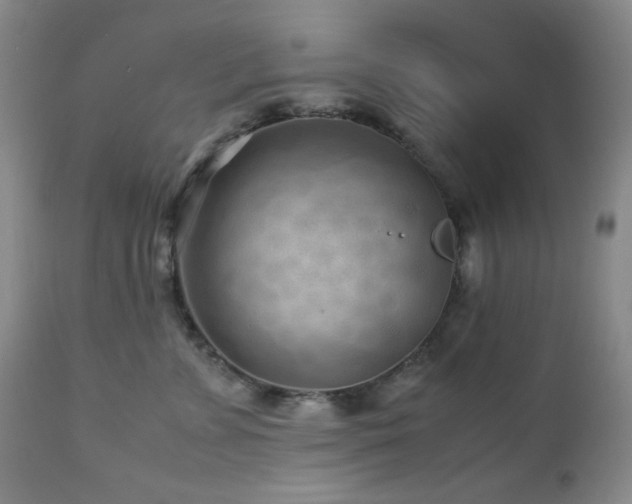X0000113040715200908271506