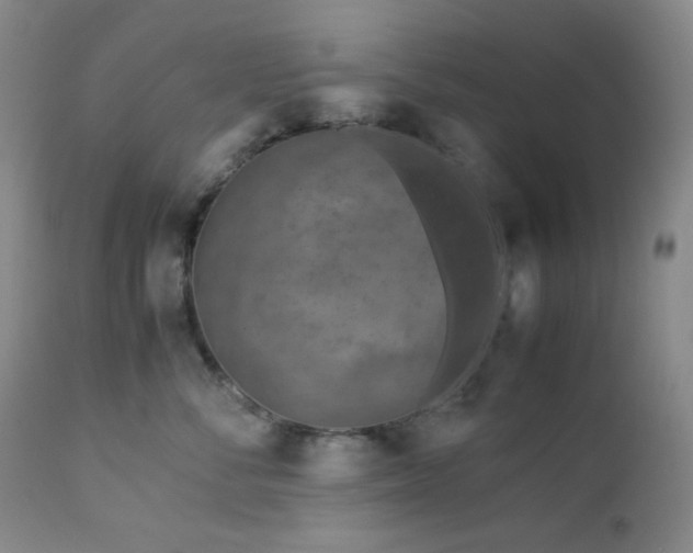 X0000113040716200908271506