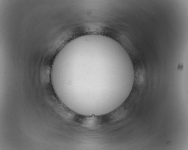 X0000113040717200908271506