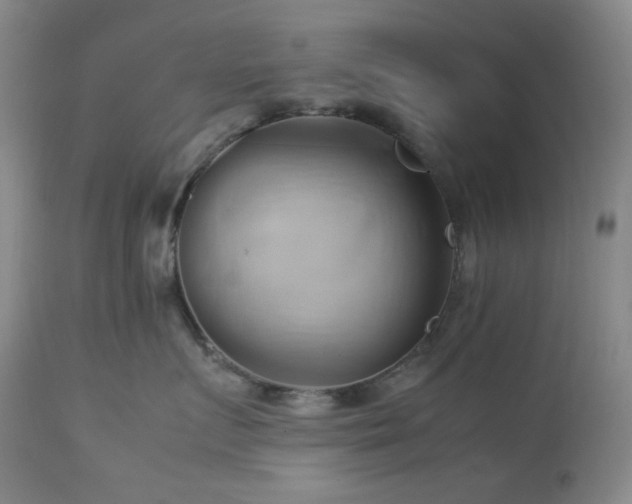 X0000113040719200908271506