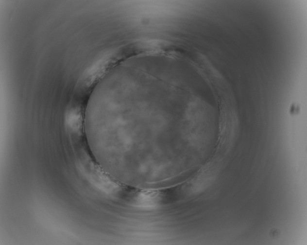 X0000113040720200908271506