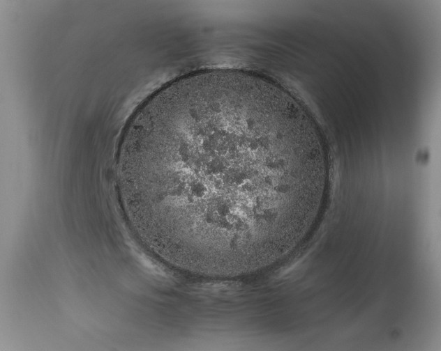 X0000113040721200908271505