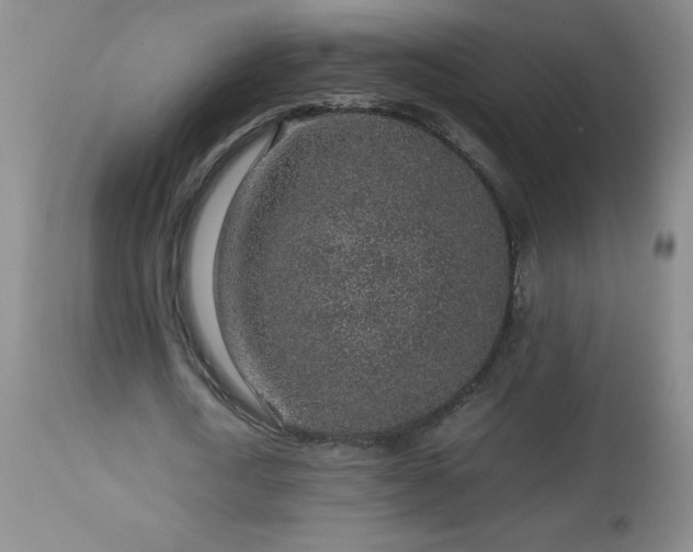 X0000113040722200908271505