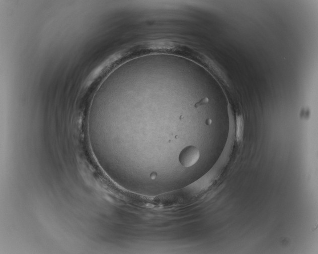 X0000113040723200908271505