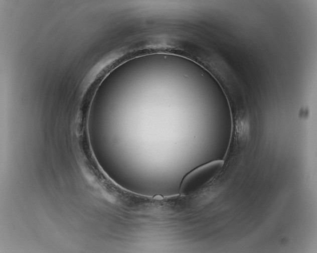 X0000113040724200908271505