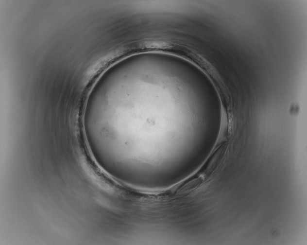 X0000113040725200908271505