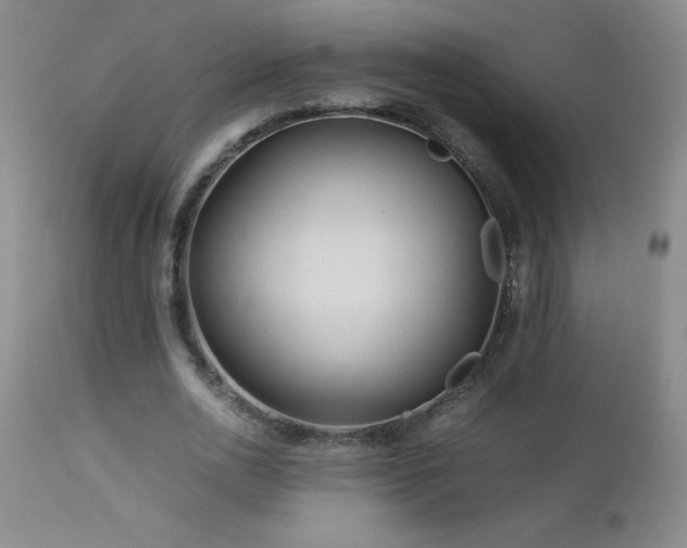 X0000113040726200908271505