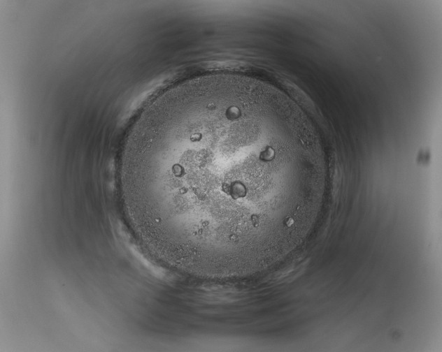 X0000113040729200908271505