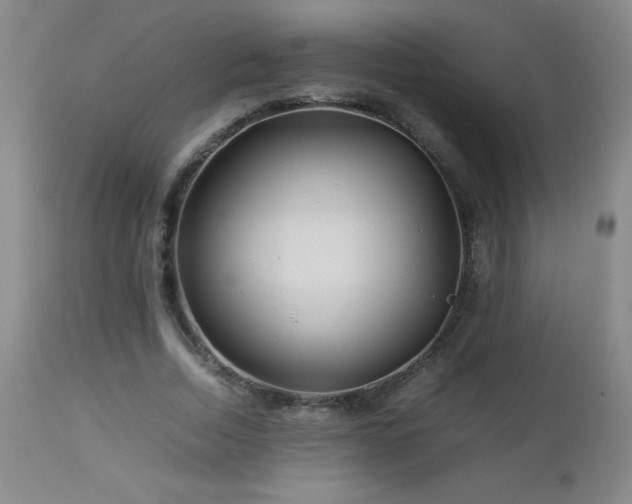 X0000113040730200908271505