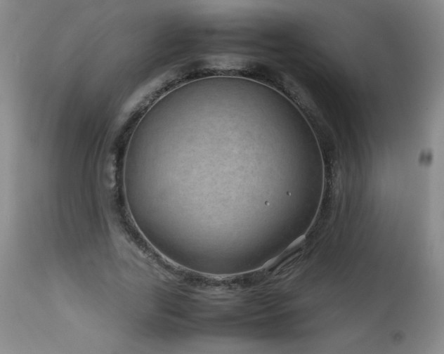 X0000113040731200908271505