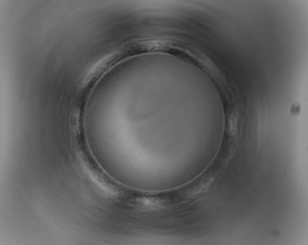 X0000113040733200908271505