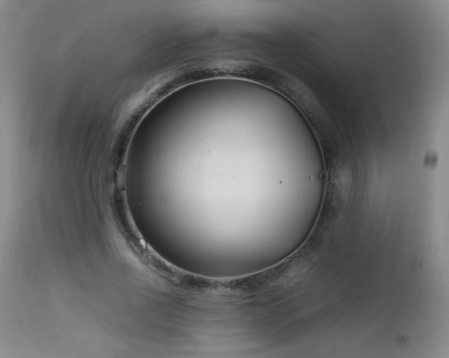 X0000113040734200908271505