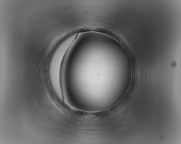 X0000113040736200908271505