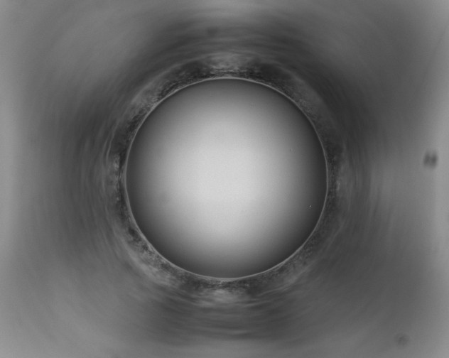 X0000113040737200908271505