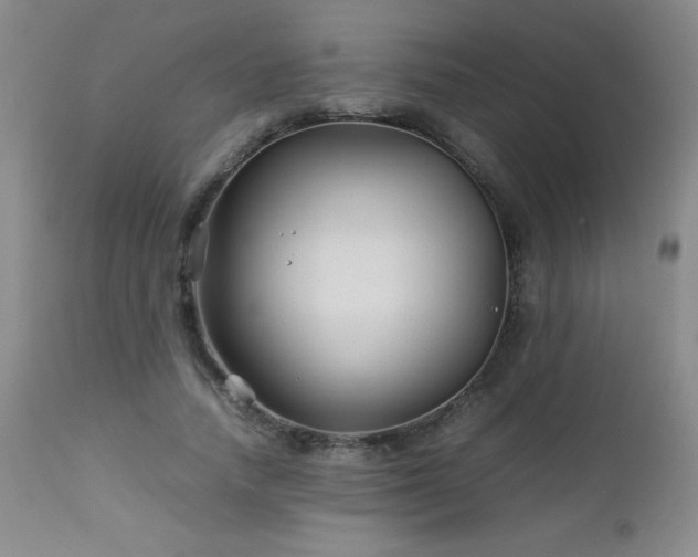 X0000113040738200908271505