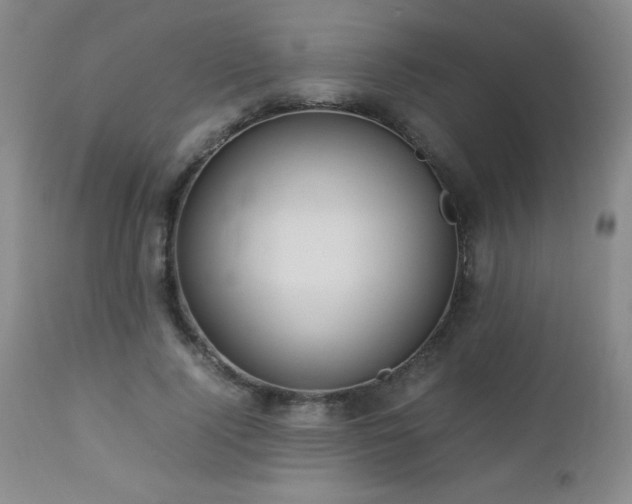 X0000113040740200908271505