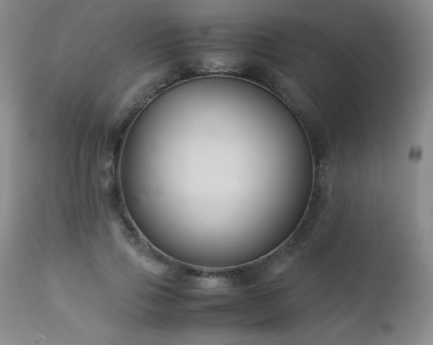 X0000113040741200908271505