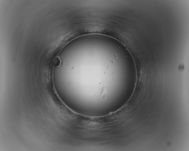 X0000113040743200908271505