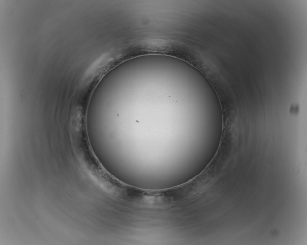 X0000113040744200908271505