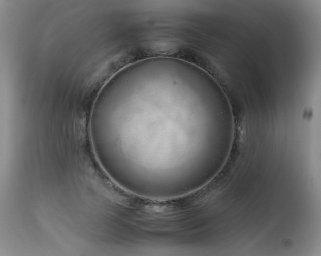 X0000113040745200908271505