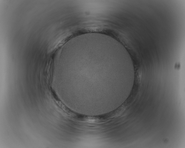 X0000113040746200908271505