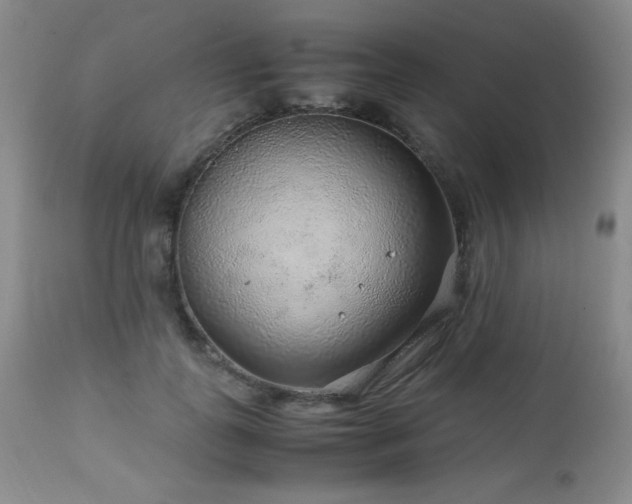 X0000113040747200908271505