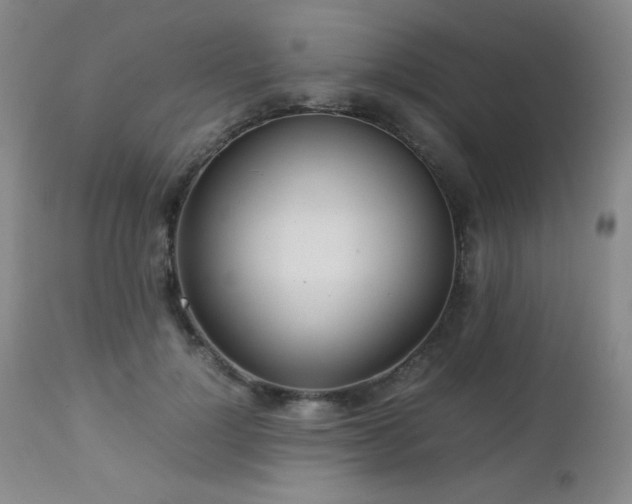 X0000113040748200908271505