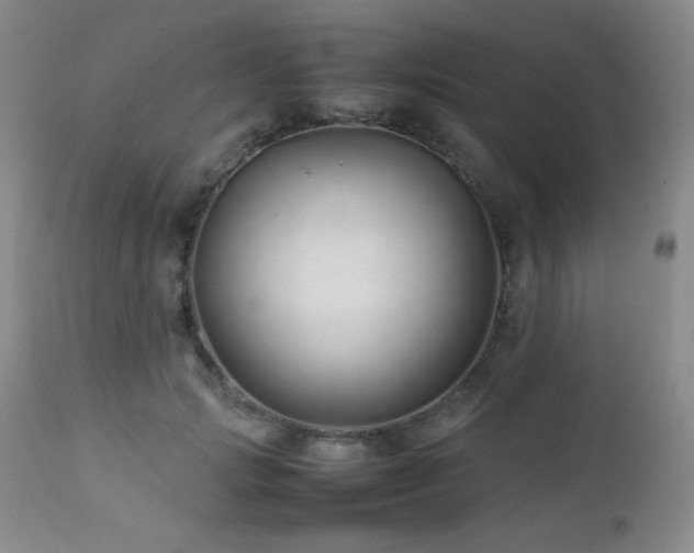 X0000113040749200908271505