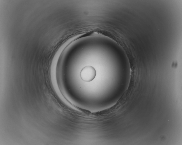X0000113040750200908271505