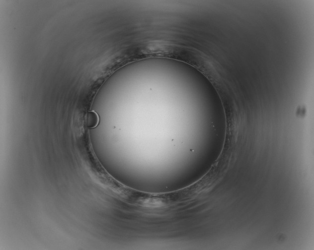 X0000113040751200908271505