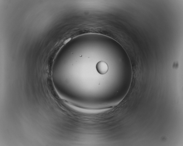 X0000113040752200908271505