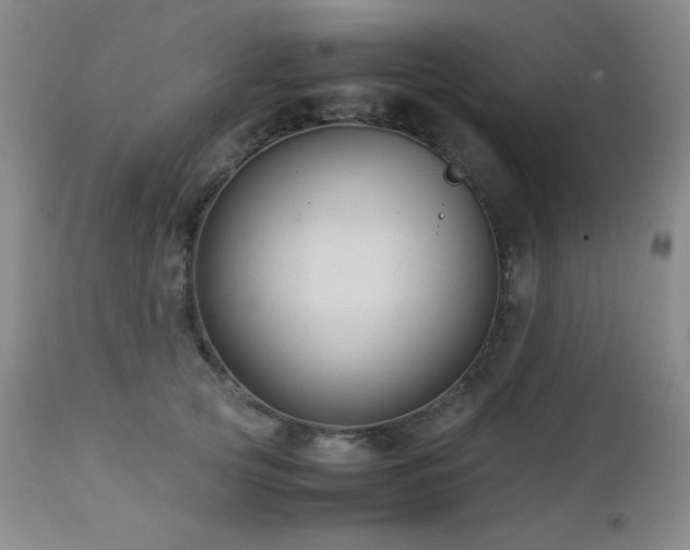X0000113040753200908271505