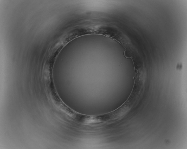 X0000113040754200908271505