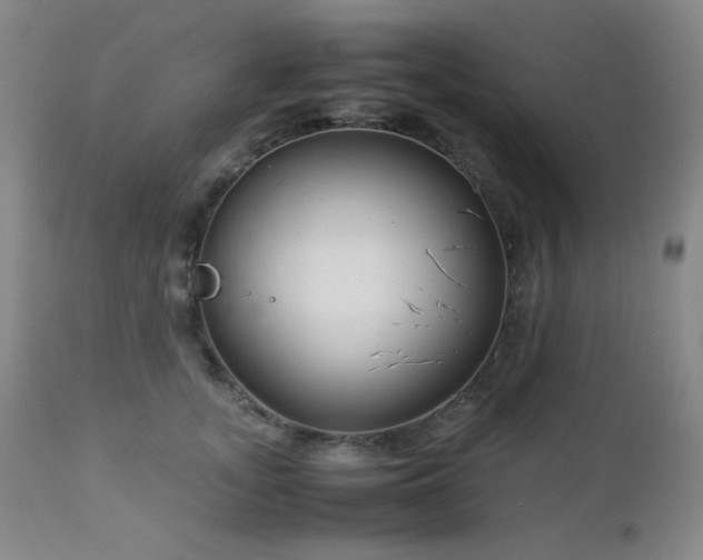 X0000113040755200908271505
