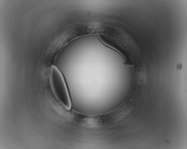 X0000113040756200908271505