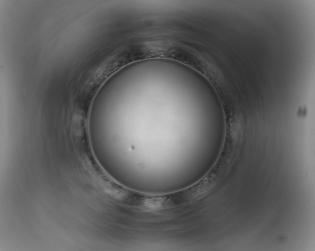 X0000113040757200908271505