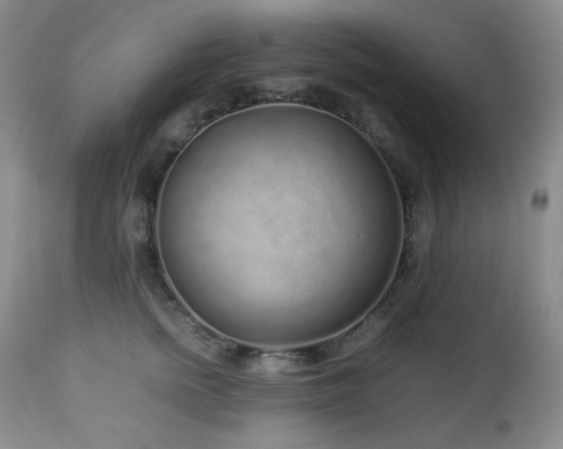 X0000113040758200908271505