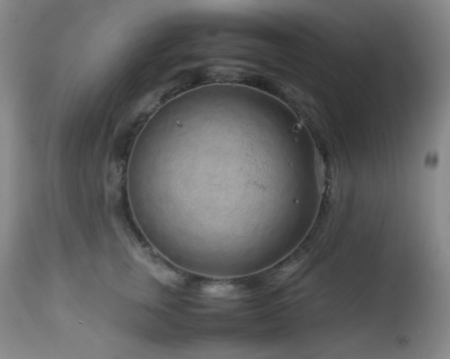X0000113040759200908271505
