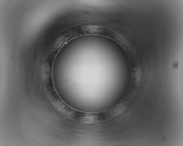 X0000113040760200908271505