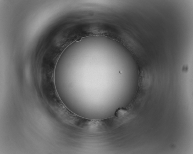 X0000113040762200908271505