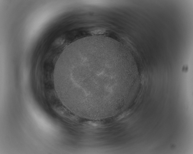 X0000113040763200908271505