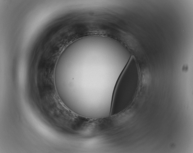 X0000113040764200908271505