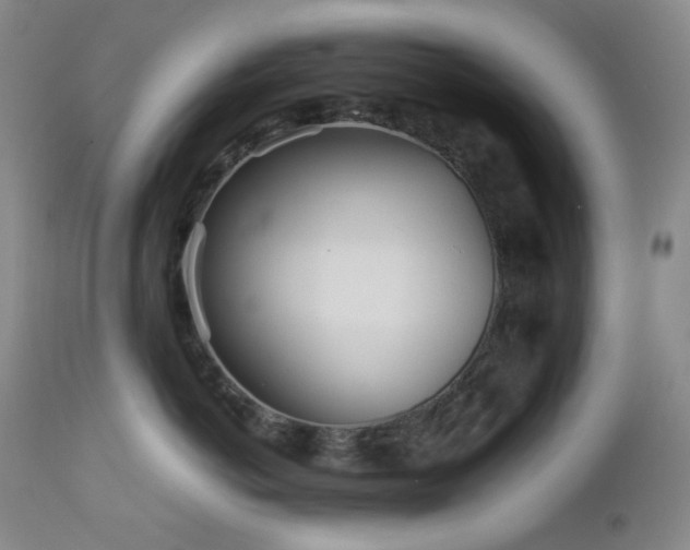 X0000113040766200908271505