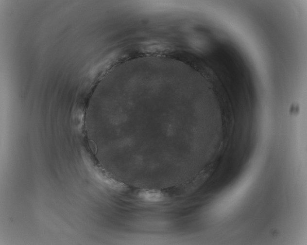 X0000113040767200908271505