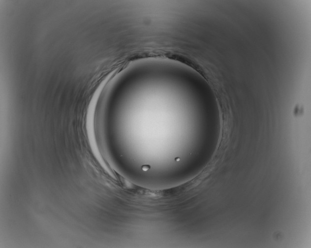 X0000113040768200908271505