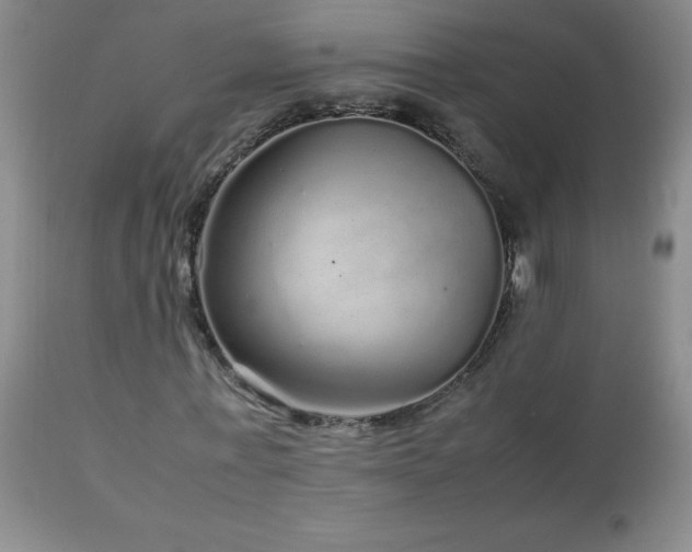 X0000113040771200908271505