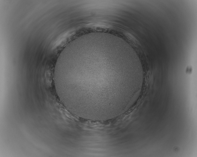 X0000113040774200908271505