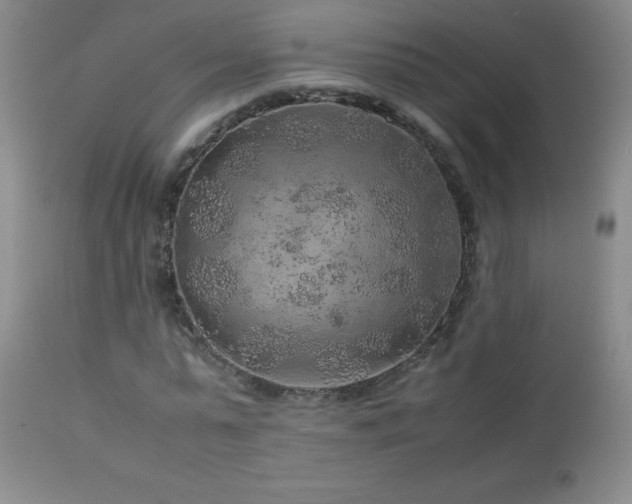 X0000113040775200908271505