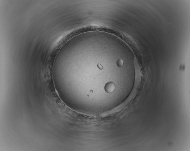 X0000113040776200908271505