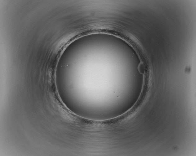 X0000113040777200908271505